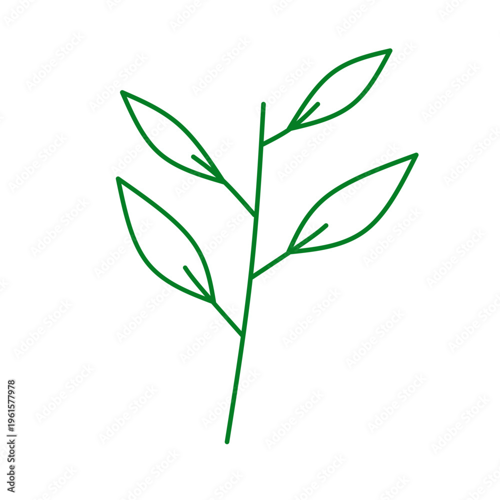 Fototapeta premium Leaves doodle 
