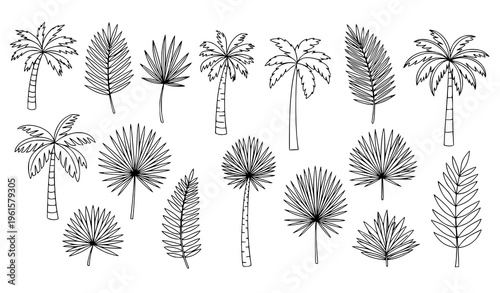 Minimal tropical palm and fern doodle collection vector beach plants