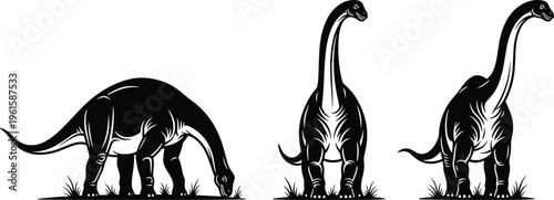 Set of long neck dinosaur silhouettes in different poses, prehistoric brachiosaurus style reptiles, detailed black vector illustration isolated on white background for educational design use