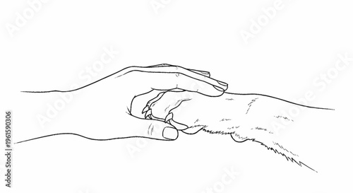 Human Hand Gently Holding a Cat Paw in Friendship and Care.