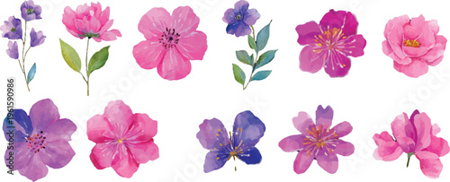 spring flowers isolated on white