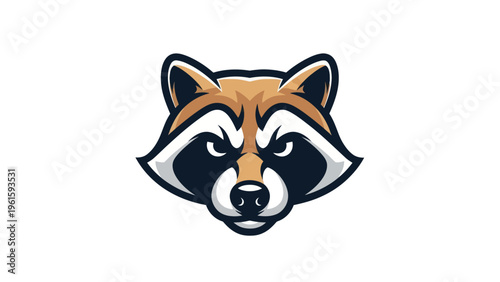 Cartoon raccoon mascot illustration