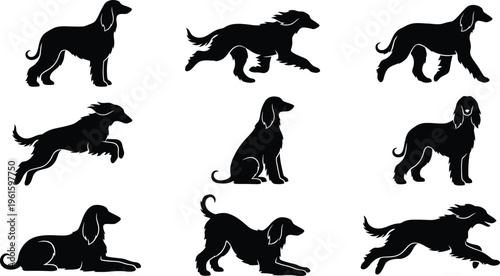 Silhuetas pretas de cães da raça Afghan Hound em diversas poses, incluindo de pé, correndo, sentado e deitado, em um fundo branco.