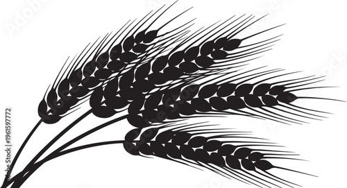 Black and white illustration of wheat ears on a stem