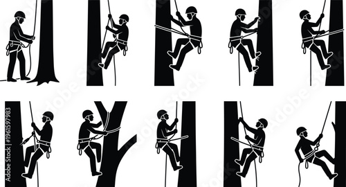 Sequência detalhada de um arborista escalando uma árvore usando cordas e equipamentos de segurança, mostrando as etapas do processo.