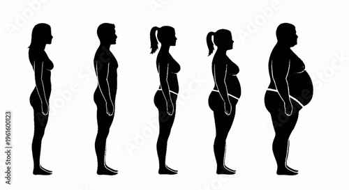 Pregnancy Stages Silhouette Female Body Profile.