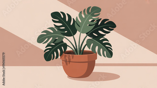 Monstera deliciosa plant in a terracotta pot on a beige background with geometric shapes and natural light