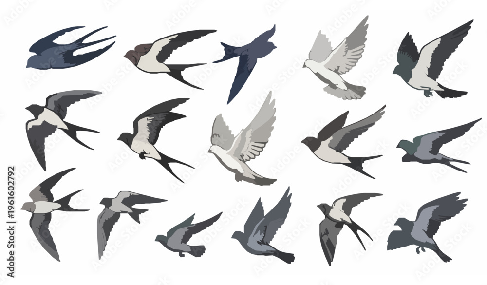 Fototapeta premium Hand Drawn Flying Birds Flock Illustration Swallow Dove Vector