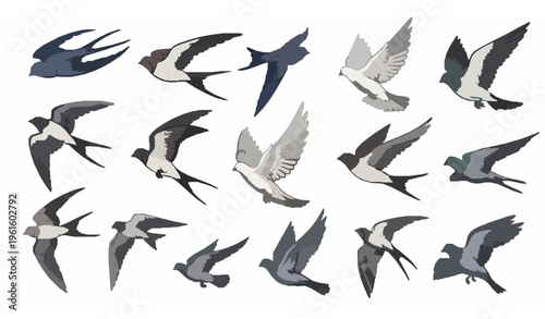 Hand Drawn Flying Birds Flock Illustration Swallow Dove Vector