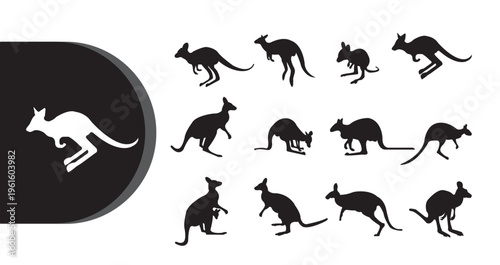 A collection of kangaroo silhouettes in various poses on a white background