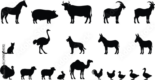 Black silhouettes of various farm and domestic animals on white background Vector