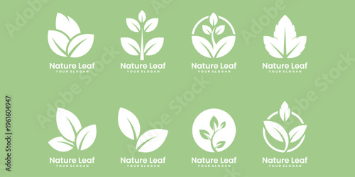 Elegant nature leaf logo collection with minimalist design, perfect for eco lifestyle brands, organic products, and green businesses.