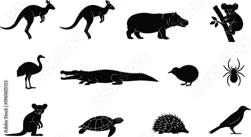 A collection of animal silhouettes on a white background Vector