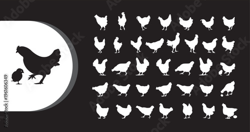 A collection of white and black chicken silhouettes on a dark background