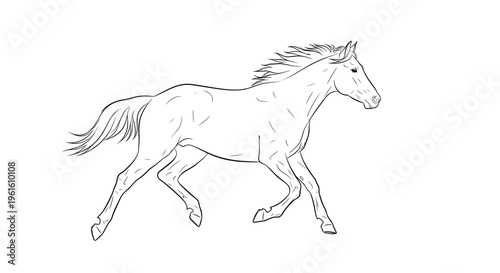 Running Horse Line Drawing Illustration.