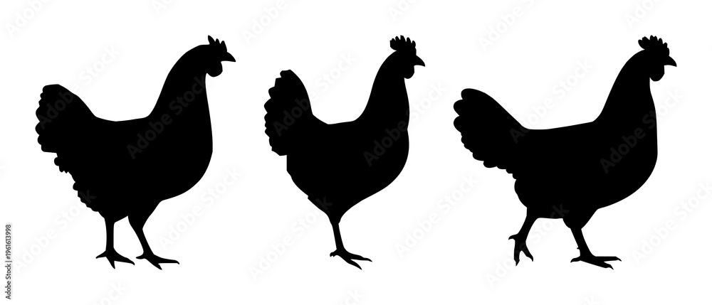 Fototapeta premium Chicken leg silhouette set with simple line art design featuring outline, illustration, graphic elements with clean design and vector art
