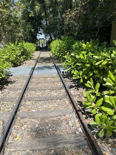 old railway in the forest