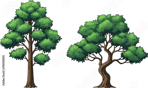 Green deciduous trees cad drawing flat vector illustration of forest oak and maple foliage for landscape design and environment projects,
