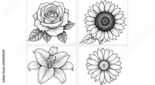 A collection of flower illustrations.