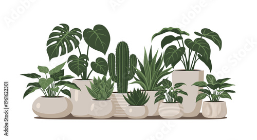 Collection of various green indoor potted plants including monstera cactus and succulents on a white background.