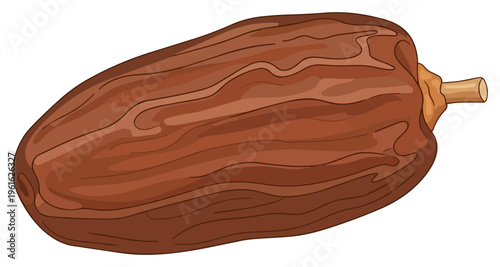 Illustration of a Single Ripe Date Fruit with Stem.