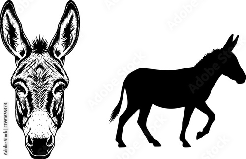 Illustration showing a donkey face and a donkey silhouette in black and white color scheme design editable vector
