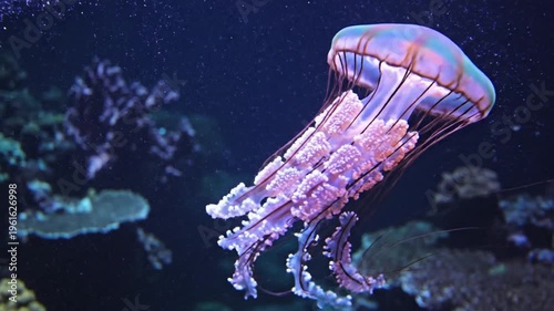 Luminous jellyfish drifting through an underwater expanse with neon hues and delicate tentacles