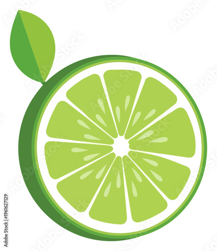Vibrant Lime Slice Illustration with Leaf Detail on White Background.