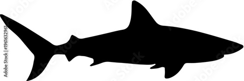 silhouette of a shark