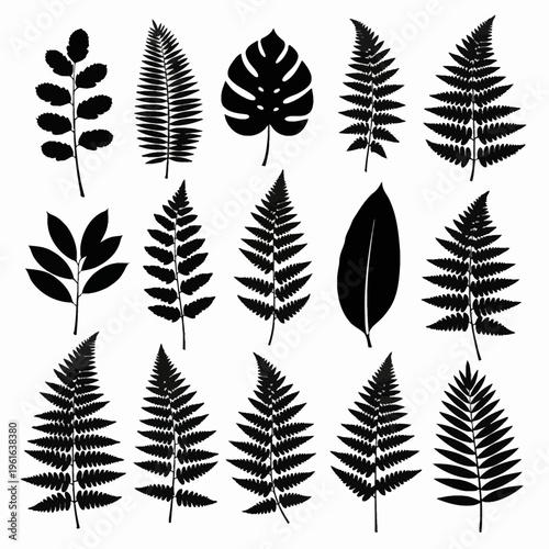 Collection of fifteen black botanical leaf silhouettes including ferns, monstera deliciosa, and various tropical foliage types isolated on a plain white background vector illustration.