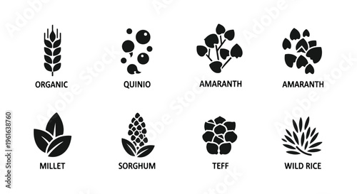 Grain icons, organic food symbols, quinoa, amaranth, millet, sorghum, teff, wild rice, healthy eating illustrations