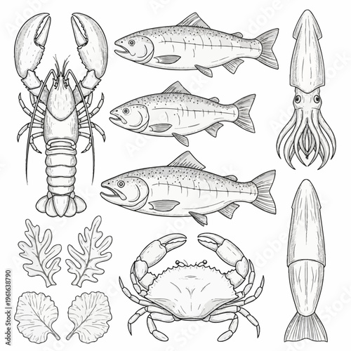 Vintage hand-drawn seafood collection featuring detailed line art illustrations of lobster, crab, squid, trout fish, and aquatic seaweed plants isolated on white background.