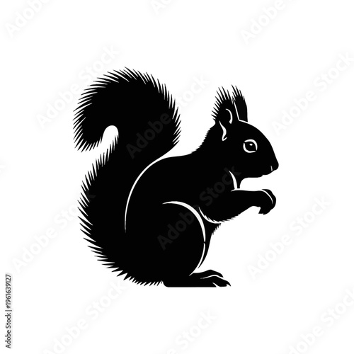 Black squirrel vector illustration isolated on white background featuring detailed silhouette of a rodent with a bushy tail, tufted ears, and profile view in a sitting posture.