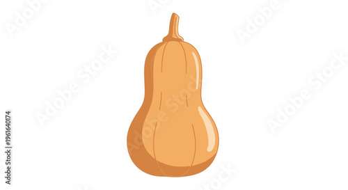 Cartoon butternut squash isolated on white background