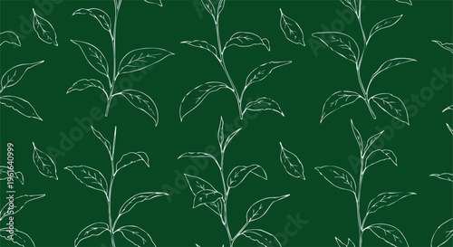 Delicate tea plant leaf patterns on a deep green backdrop creating a serene organic design element for digital and print media