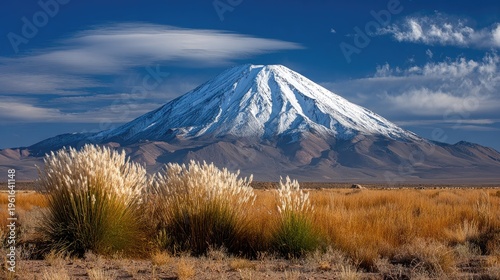 Snow capped mountain in daylight with foreground grasses against blue sky