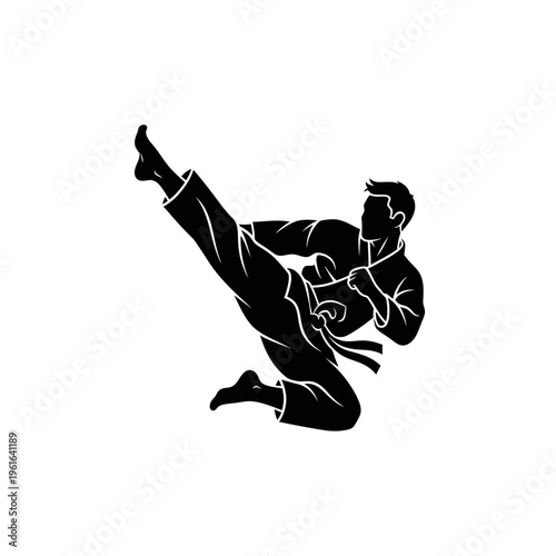 Male martial artist performing a dynamic high kick silhouette