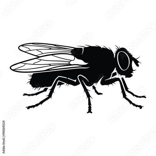 Insect house fly Icon Silhouette vector black design on a white background