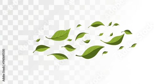 Vector illustration of several green leaves fluttering in the wind across a transparent background, depicting motion, breeze, and nature elements for graphic design.