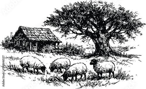 Ink Sketch Illustration of Rustic Farm Landscape with Livestock, sheep and Old Wooden Shack