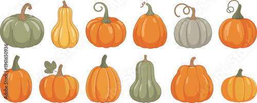 Pumpkin varieties set, colorful autumn harvest vegetables collection seasonal illustration design