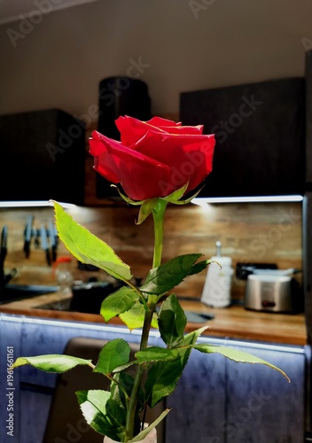 red rose on a wooden table