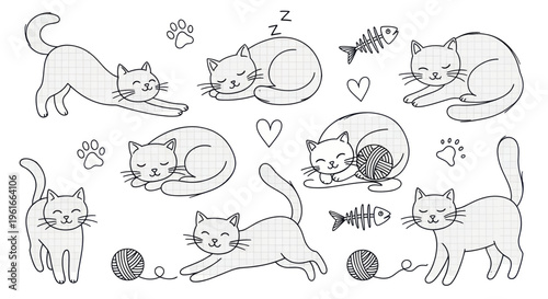Cute Hand-Drawn Cat Illustrations: Sleeping, Playing, Stretching