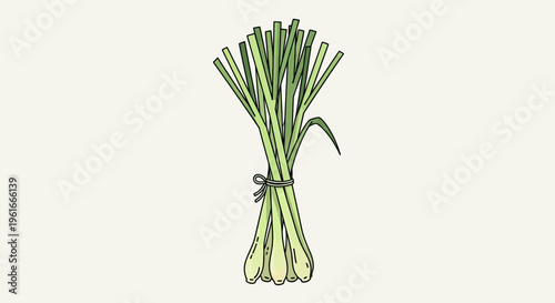 Fresh green onions, bunch of scallions, tied herbs, culinary ingredients, vector illustration