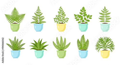 Cute Cartoon Leaves Holding Hands Illustrating Love and Friendship