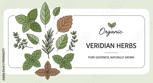 Herb label, organic botanicals, natural ingredients, Veridian Herbs branding