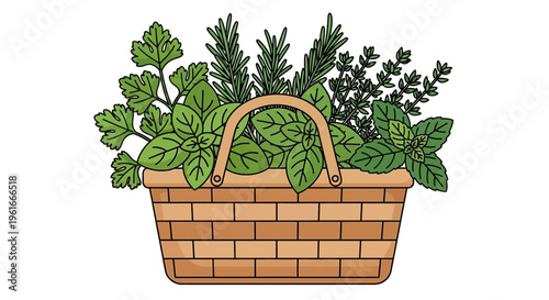 Herb garden basket, fresh herbs, green plants, wicker basket, gardening collection