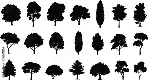 Collection of tree silhouettes, diverse canopy shapes illustration, flat vector