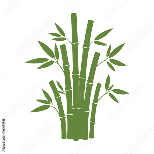 Green Bamboo Stalks with Leaves Illustration.