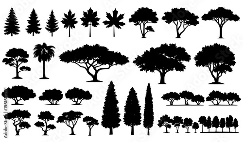Set of various tree silhouettes vector illustration different tree species isolated on white